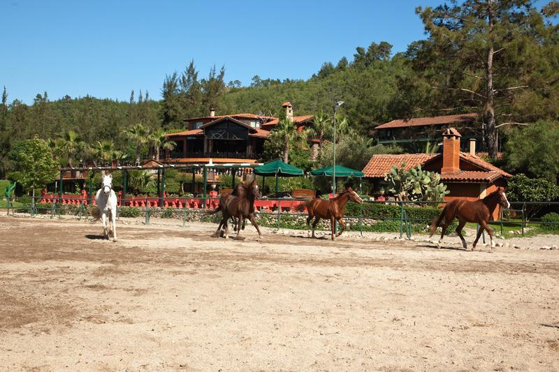 Hotel Berke Ranch&Nature 케메르 외부 사진